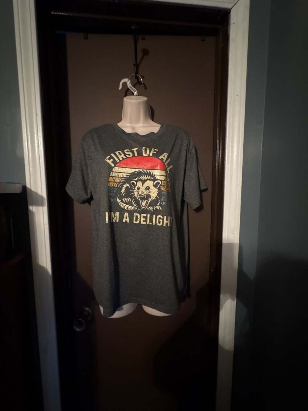 First Of All I'm A Delight Opossum Graphic T-Shirt Size Large CT